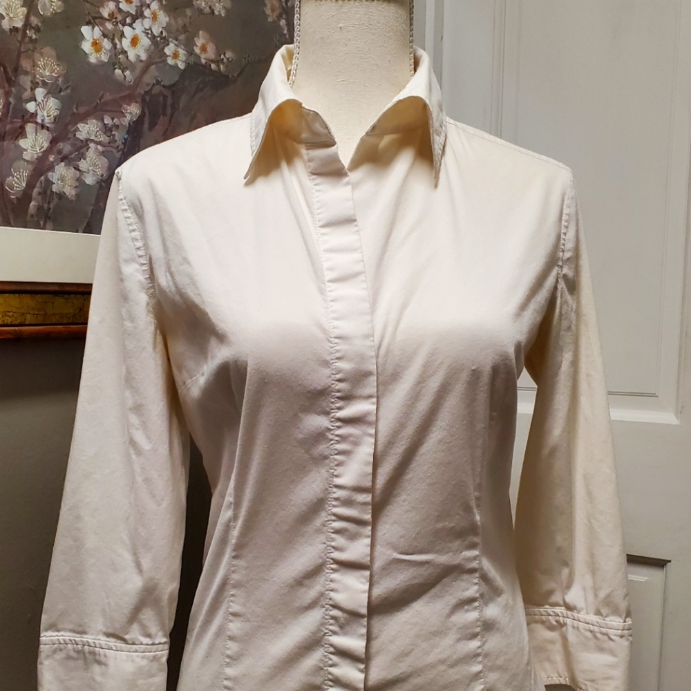 Express dress shirt